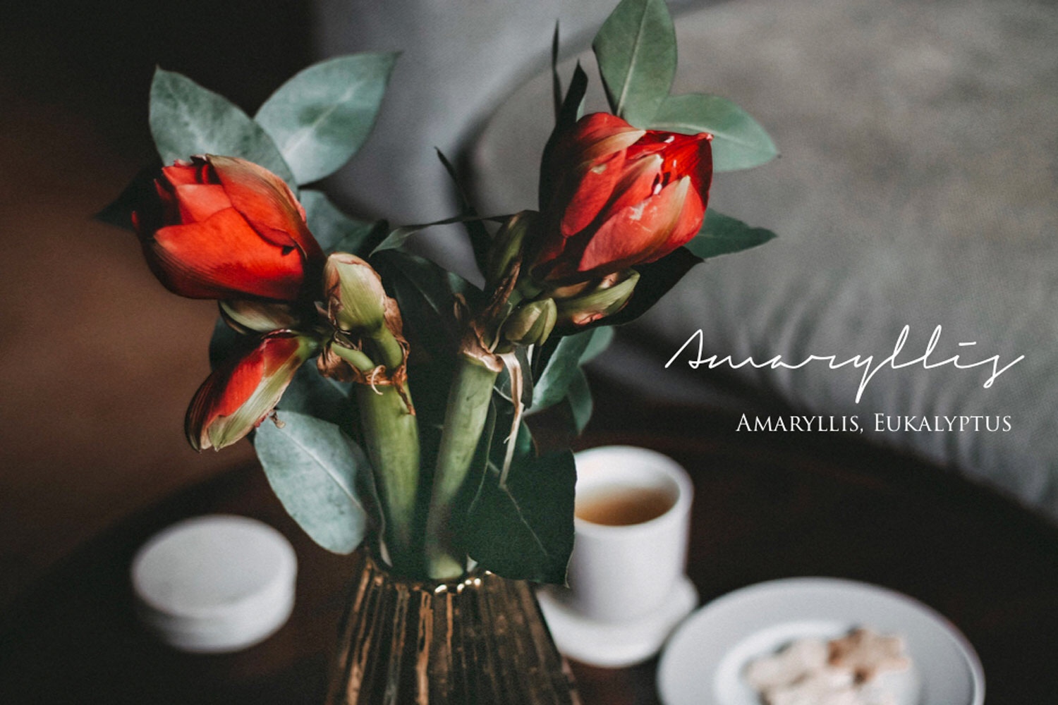 Amaryllis