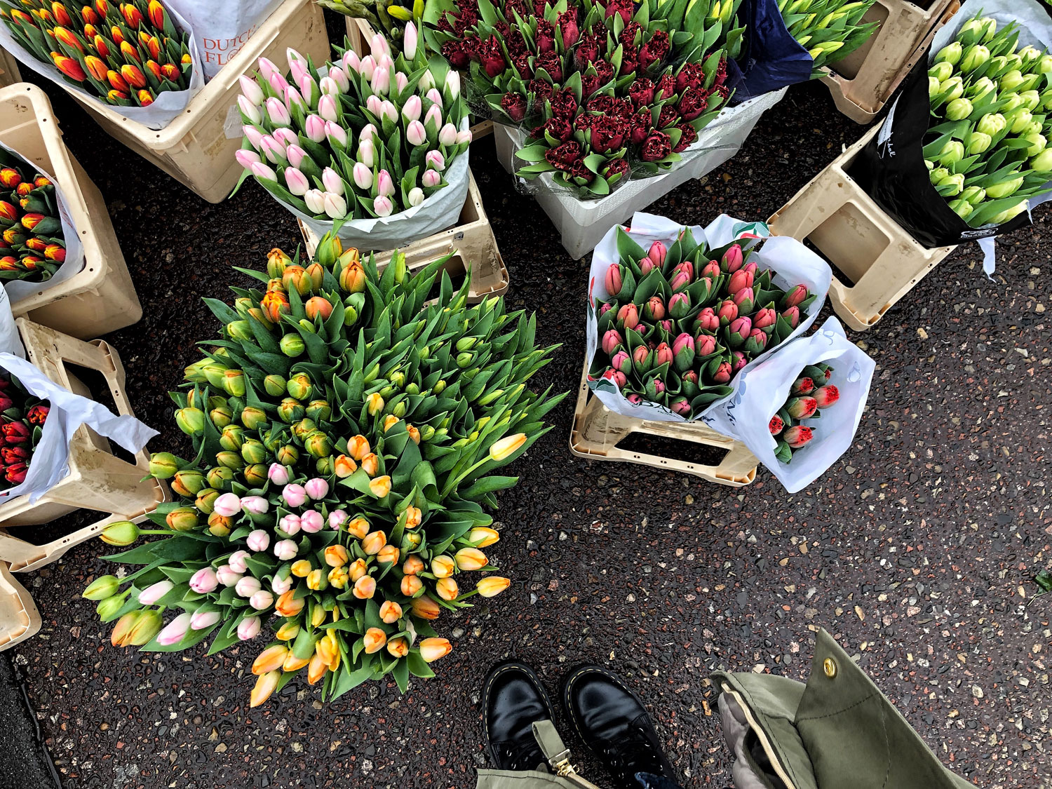 Albert-Cryp-Market-Amsterdam