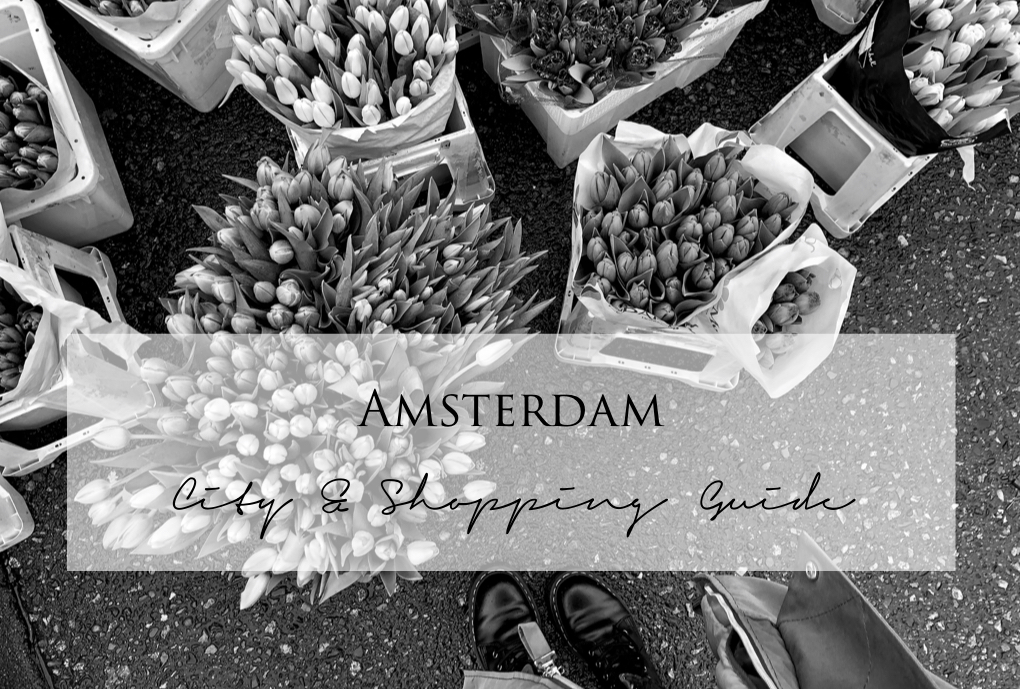 Amsterdam City Guide