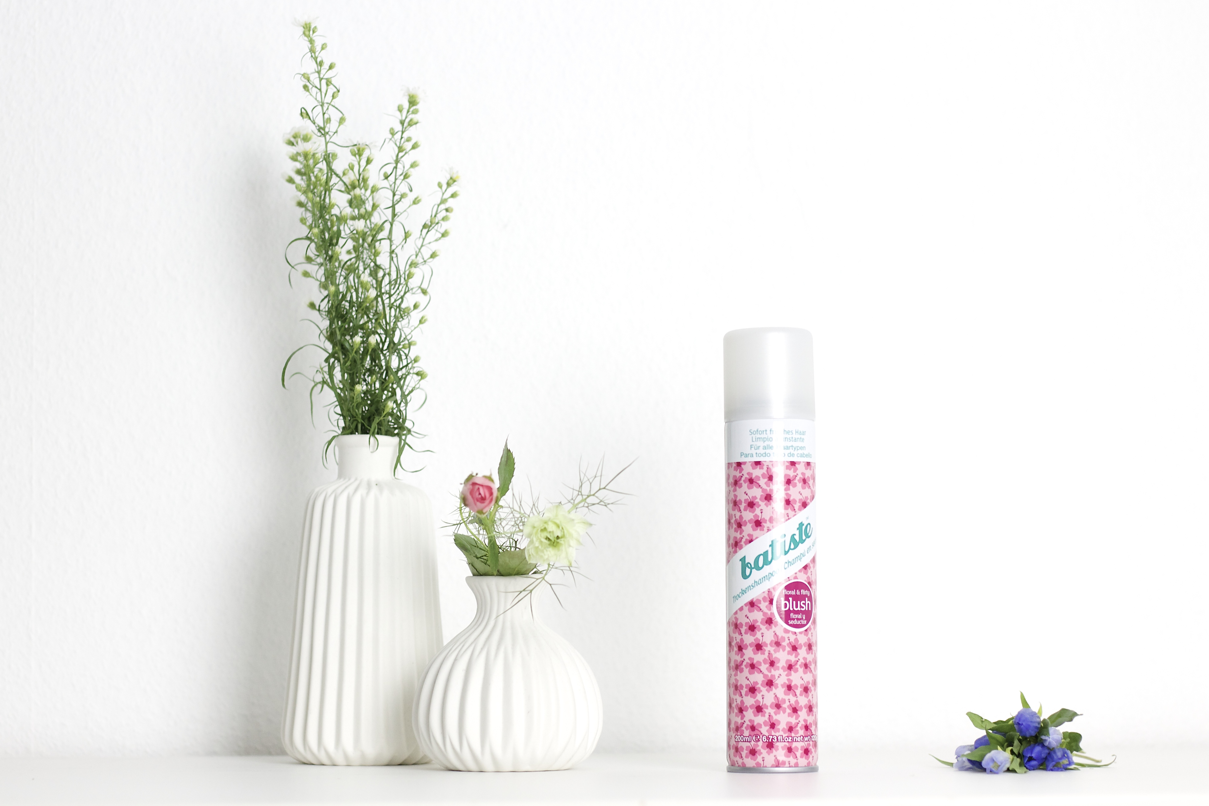 Beautyblogger Test