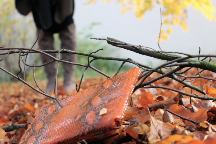Clutch im Schlangendesign von House of Cases